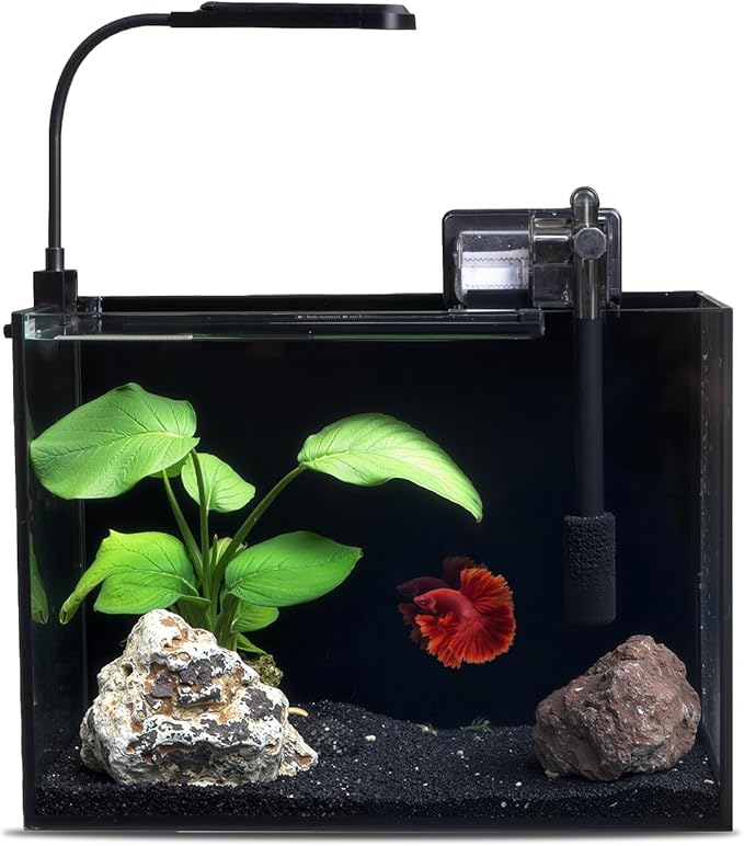 2.5 Gallon Glass Small Fish Tank Kit, Betta Fish Tank Aquarium Starter Kit with Filter, Lights, Lid, for Betta, Goldfish, Small Fish or Shrimp