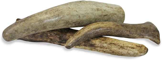 Exotic Nutrition Antler Chews - Safe Small Animal Chew - Natural Source of Healthy Minerals - Chinchilla, Hamster, Degu, Prairie Dog, Squirrel and Other Chewing Pets