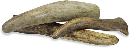 Exotic Nutrition Antler Chews - Safe Small Animal Chew - Natural Source of Healthy Minerals - Chinchilla, Hamster, Degu, Prairie Dog, Squirrel and Other Chewing Pets