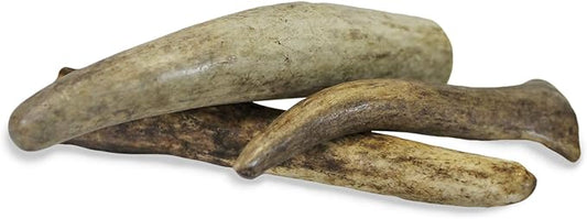 Exotic Nutrition Antler Chews - Safe Small Animal Chew - Natural Source of Healthy Minerals - Chinchilla, Hamster, Degu, Prairie Dog, Squirrel and Other Chewing Pets