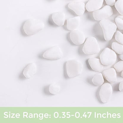 SIDONG 10 LB White River Rocks, 0.3-0.5 Inches Matte Pebbles for Indoor Plants, Aquarium Rocks Used in Fish Tank, Decorative Stones for Plants, Vases, Home Décor, Crafting, Garden Landscaping