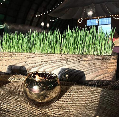 Non-GMO, Thunder Acres Premium Wheat Seed, Cat Grass Seed, Wheatgrass, Hard Red Winter Wheat (5 lbs.)