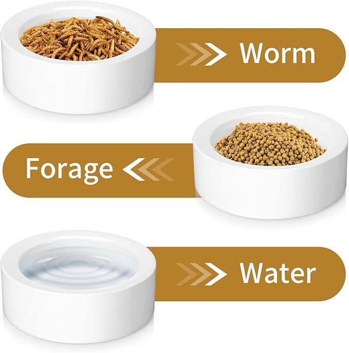 Meanplan 4 Pcs Reptile Bowl Food Dish 2.71 Inch Reptile Water Food Feeding Dish Ceramic Worm Pet Bowl Anti Escape Feeder for Lizard Anoles Chameleon Bearded Dragon Hermit Crab