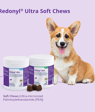 Ultra Soft Chews for Dogs 100 mg, 120 Count