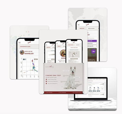 AlphaDog DNA Complete Dog DNA Test Kit – Clinical Grade, Breeder Preferred, and Vet-Approved - Includes Breed Analysis, Health Traits, Behavior Traits, & Coat Traits