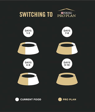 Purina Pro Plan LiveClear Dry Cat Food for Kittens Cat Allergen Reducer Chicken and Rice Formula - 3.2 lb. Bag