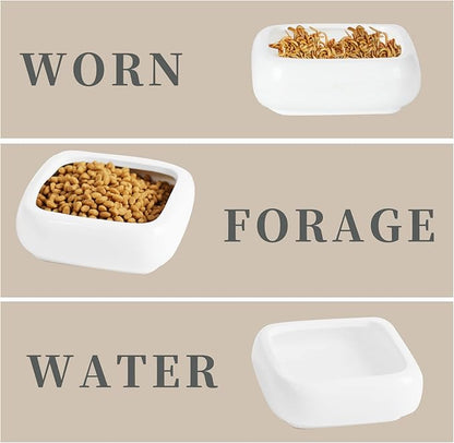 Reptile Food Bowls Ceramic Square Reptile Water Food Dish, Pet Food Bowl for Lizards, Young Bearded Dragons, Small Snakes, Gecko Tortoise Spider (White, Large-1Pack)