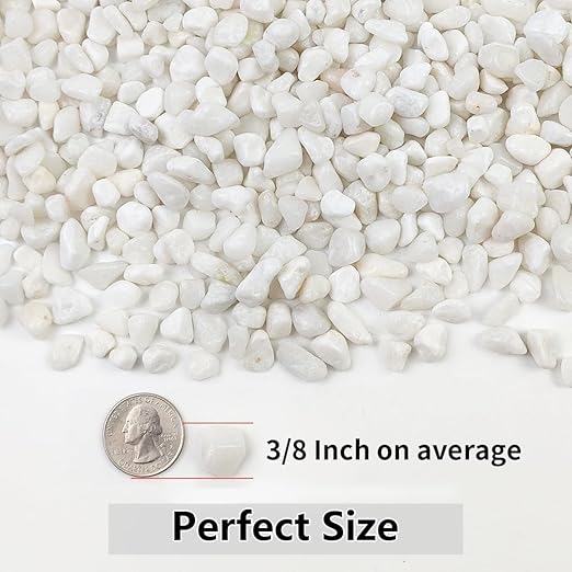2LB Succulent and Cactus Gravel Pebbles, 3/8 Inch Natural Decorative Polished Stones, River Rocks for Plants, Vases, Aquariums, Terrarium and Outdoor Gardening, White