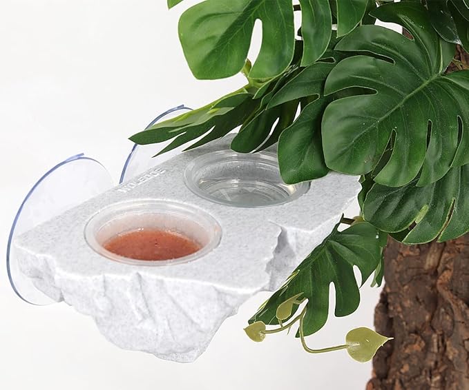 Crested Gecko Feeding Ledge with 10Pcs 0.5oz Food Dish Feeder Bowls