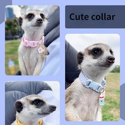 Ferret Collar Harness and Leash Adjustable, Soft and Breathable Ferret Lead Leash with Cute Designed Collar (Yellow)