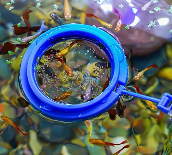 Coral Reef Grabber,Coral Feeder,Aquarium Veggie Feeder,Fish Tank Food Clip,Fish net(Reef Grabber and Coral Feeder Kits (Anti-Rust)