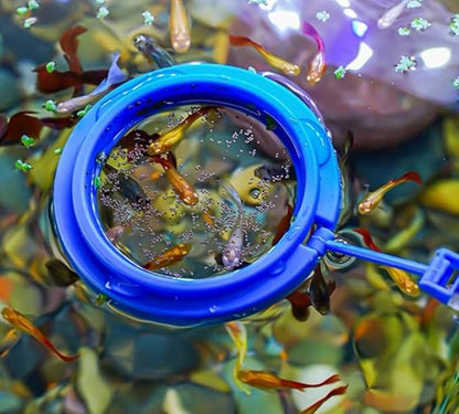 Coral Reef Grabber,Coral Feeder,Aquarium Veggie Feeder,Fish Tank Food Clip,Fish net(Reef Grabber and Coral Feeder Kits (Anti-Rust)