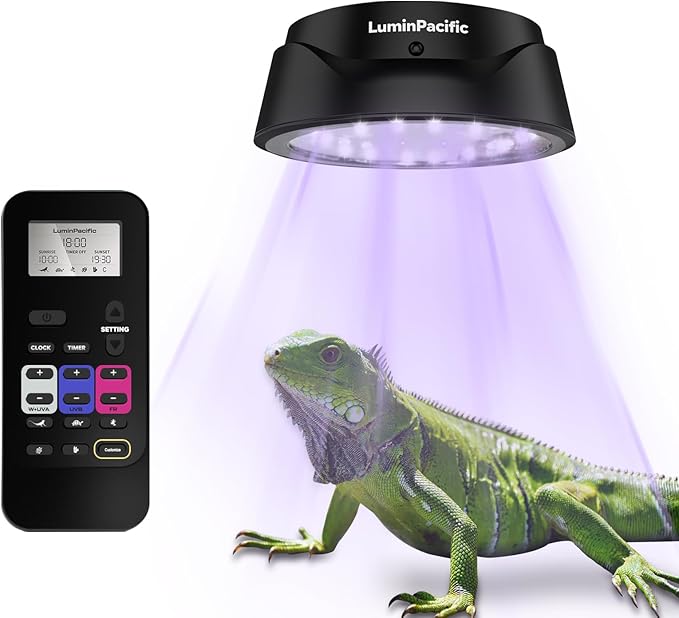 LED Reptiles Light with Remote, UVA UVB FR Lamp for Rainforest & Desert Reptiles, Ferguson Zones 1-4, Timer Switch, 10 Dimmable, for Bearded Dragon, Turtle, Frog, Snake, Plant (1 Pack)