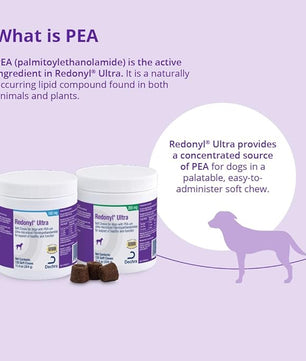 Ultra Soft Chews for Dogs 100 mg, 120 Count