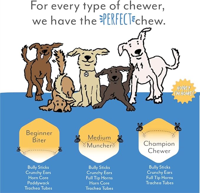 Honey I'm Home Mega Muncher Variety Pack Honey Coated Buffalo Chews