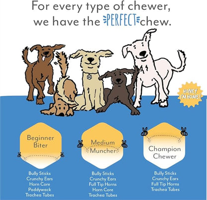 Honey I'm Home Mega Muncher Variety Pack Honey Coated Buffalo Chews