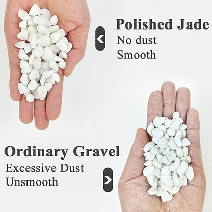 5LB Succulent and Cactus Gravel Pebbles, 3/8 Inch Natural Decorative Polished Stones, River Rocks for Plants, Vases, Aquariums, Terrarium and Outdoor Gardening, White