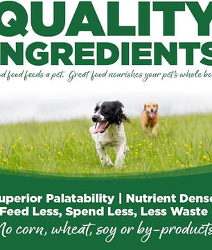 NutriSource Turkey & Rice Recipe Dog Food, Premium Wet Dog Food, 12.3 Ounce (Pack of 12)