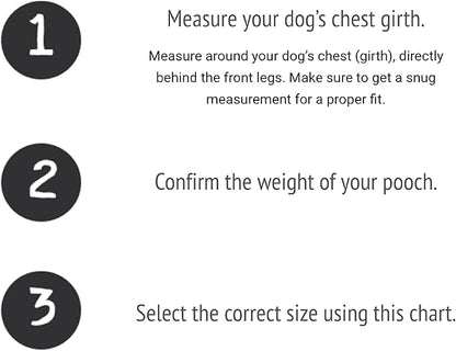 Buddy Belts Harness Pebble Grain Red - Premium Edition (5)