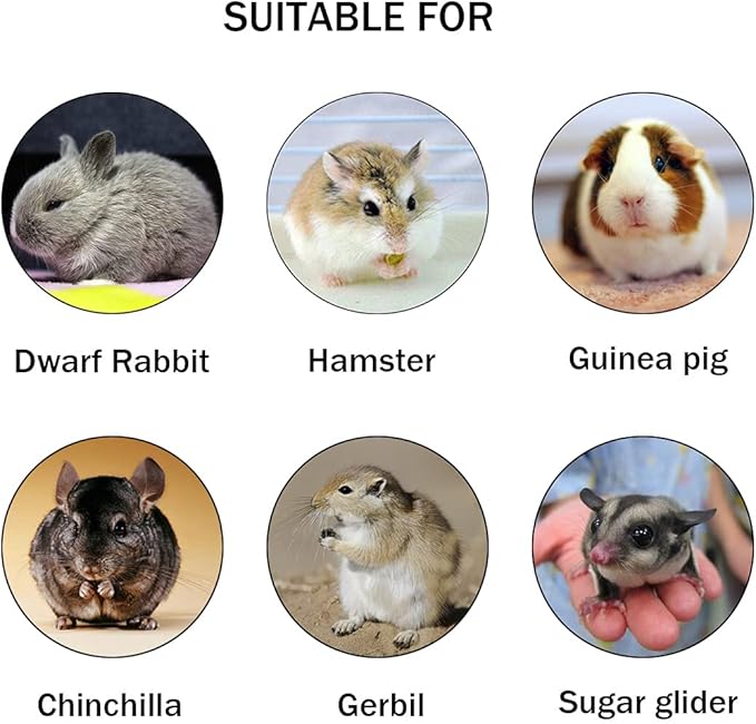 Hamiledyi Hamster Wooden Bridge - Bendy Climbing Ladder, Long Suspension Bridge, Chew Toys for Rat, Mice, Gerbil, Chipmunk, Sugar Glider