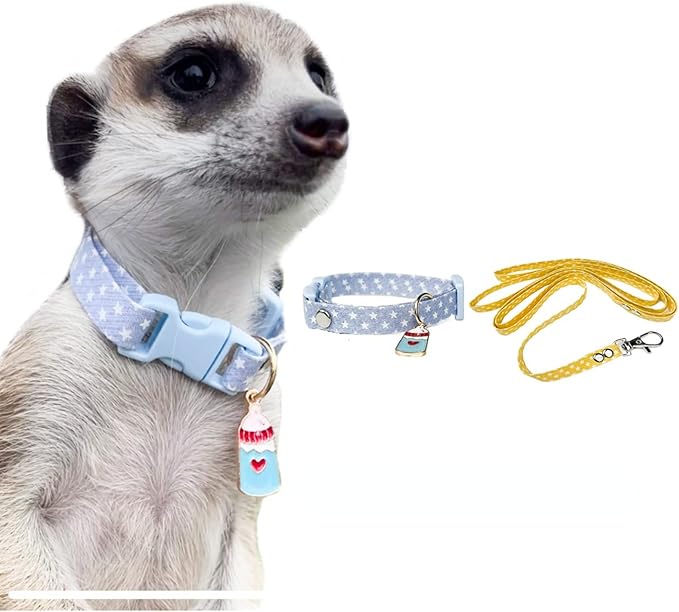 Ferret Collar Harness and Leash Adjustable, Soft and Breathable Ferret Lead Leash with Cute Designed Collar (Blue)