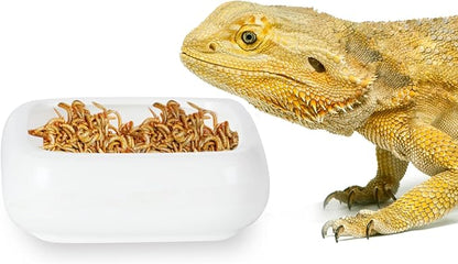 Reptile Food Bowls Ceramic Square Reptile Water Food Dish, Pet Food Bowl for Lizards, Young Bearded Dragons, Small Snakes, Gecko Tortoise Spider (White, Large-1Pack)