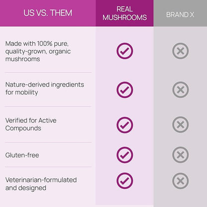 Real Mushrooms Mobility Chews for Dogs & Cats – Green Lipped Mussel & ErgoGold Mushroom Blend – Dogs & Cat Vitamins Treats for Active Routines – Joint, Hip & Flexibility Support – 240 ct Supplement