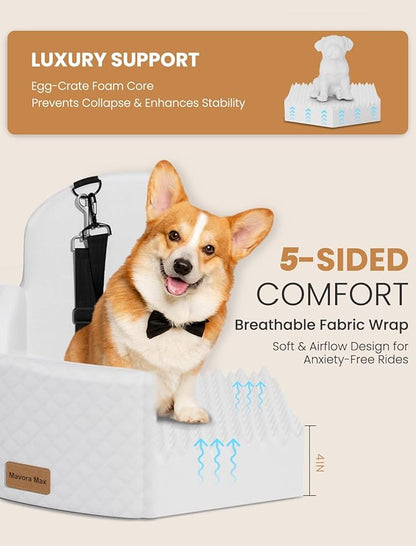 (Up to 35lbs Small/Medium Dog Car Seat Booster Dog Seat for Car Portable with Adjustable Seatbelts Puppy Travel Carrier for SUV,Truck, with Memory Foam Cushion(White)