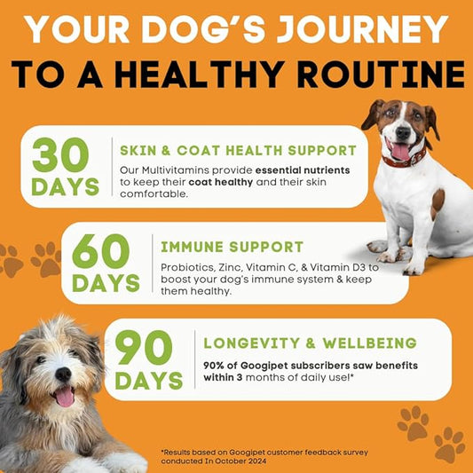 Googipet Premium 10 in 1 Dog Vitamins Multivitamin Chewable with Probiotics for Gut Health, Dog Vitamins and Supplements w/Vitamin C & Glucosamine for Joint Support (Chicken & Vegetable Flavor)