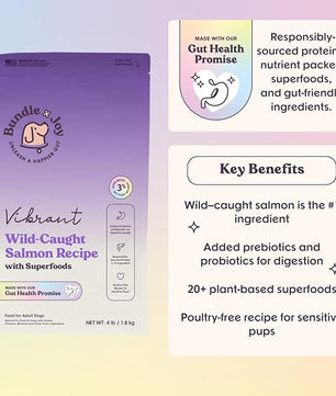 Vibrant Probiotic Dog Food Dry, Salmon, 18lb Bag, Allergy and Gut-Friendly Adult Kibble for Digestive Health with Wild-Caught Salmon, 20 Plant Based Superfoods, Grain x Poultry Free