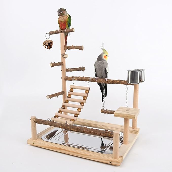 Parrot Playground Playstands, Bird Playgrounds with Feeder Cups Bird Cage Stand Bird Perch Stands, Parakeet Playground Wood Bird Play Stand for Cockatiel Parakeet