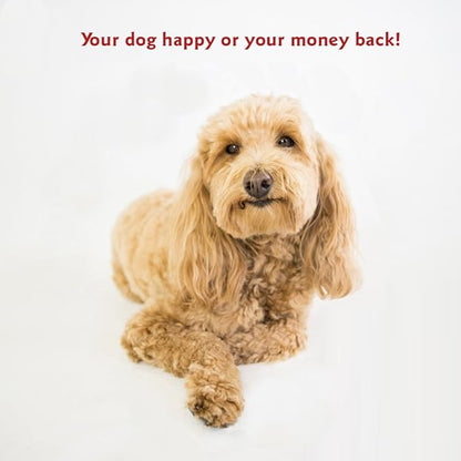 Majestic Pet 32 inch Blue Bagel Dog Bed Products