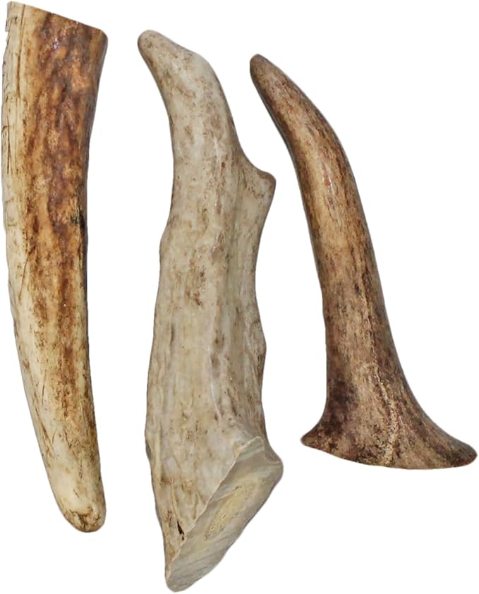 Exotic Nutrition Antler Chews - Safe Small Animal Chew - Natural Source of Healthy Minerals - Chinchilla, Hamster, Degu, Prairie Dog, Squirrel and Other Chewing Pets