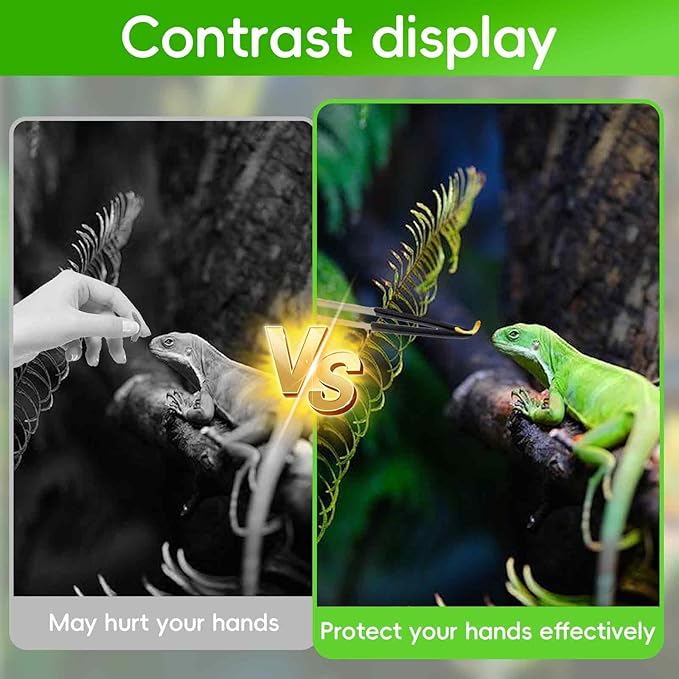 Reptile Feeding Tongs & Hammock Set, Stainless Steel Feeding Tongs Rubber Tip for Reptiles, Breathable Mesh Hammock for Bearded Dragon