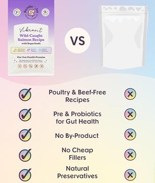 Vibrant Probiotic Dog Food Dry, Salmon, 18lb Bag, Allergy and Gut-Friendly Adult Kibble for Digestive Health with Wild-Caught Salmon, 20 Plant Based Superfoods, Grain x Poultry Free