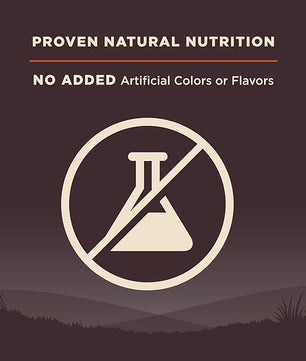 Wellness CORE Grain-Free High-Protein Dry Dog Food, Natural Ingredients, Made in USA with Real Meat, All Breeds, For Adult Dogs (Original Turkey & Chicken, 12-Pound Bag)