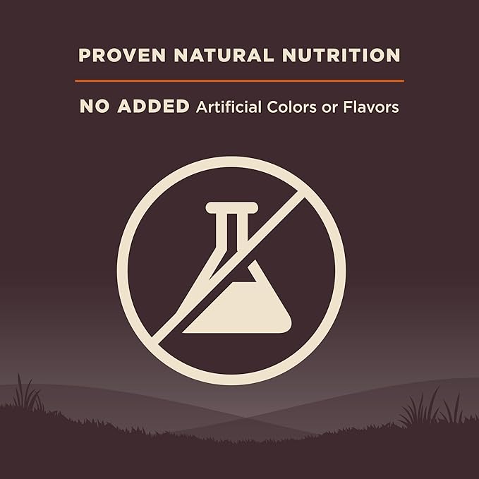 Wellness CORE Grain-Free High-Protein Dry Dog Food, Natural Ingredients, Made in USA with Real Meat, All Breeds, For Adult Dogs (Original Turkey & Chicken, 12-Pound Bag)