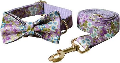 Custom Dog Collar with Names and Phone Number Engraved, Puppy Tags Personalized for Small Medium Large Pets