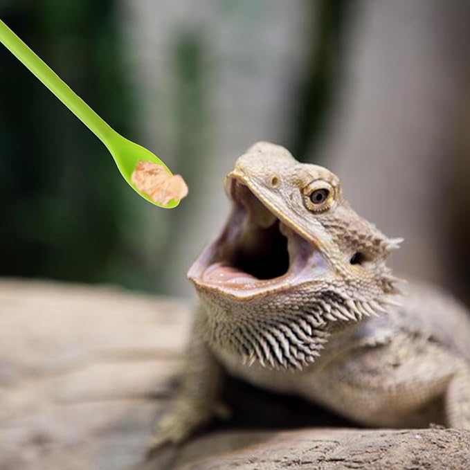 4Pcs Reptile Spoon Long Handle Crested Food Spoons Feeding Tongs Crested Gecko Feeding Spoon Aquarium Feed Tools for Gecko Lizard Gargoyle Bearded Other Small Animals 11.8In 9.3In 6In