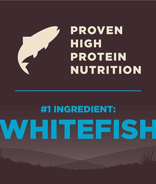 Wellness CORE Dry Dog Food, Grain-Free, High Protein, Natural, Ocean Whitefish, Herring, & Salmon Recipe, (12-Pound Bag)