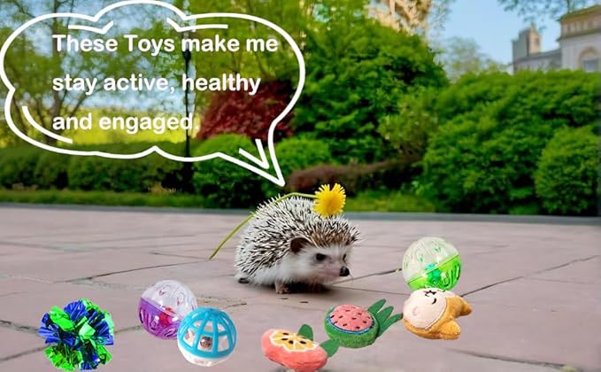 10 Pcs Hedgehog Pet Toys Small Animal Accessories for Hedgehogs Enrichment Toys Cage Ball Bell Toy Hedgehog Supplies Exercies Interactive Plush Toy
