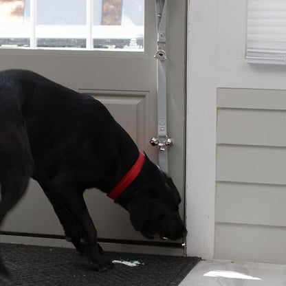 Caldwell's Pet Supply Co. Dog Potty Bells, Dog Door Bell, Bells to Go Outside, Potty Training Bell, Dogs Doorbell, Dogs Potty Doorbell, Ring to Go Pee, All Breed Puppy Training Tool - Gray (Set of 2)