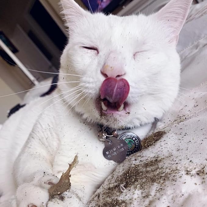 Meowijuana | King Size Catnip Joints | Organic | Dried Premium Ground Catnip | High Potency | Grown in North America | Feline and Cat Lover Approved