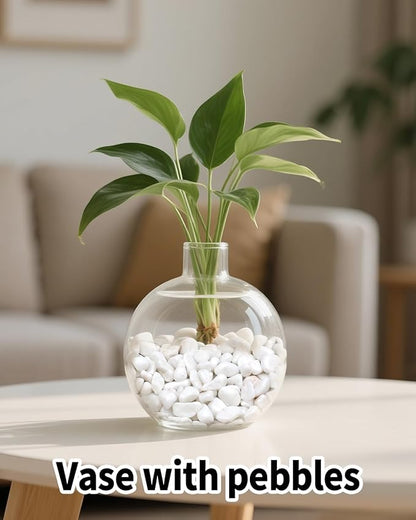 12LB White Succulent & Cactus Gravel Pebbles - 1/4-3/8 Inch Natural Polished River Rocks, Decorative Stones for Plants, Terrariums, Vases, Aquariums & Outdoor Gardening