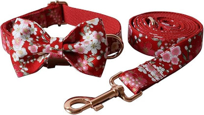 Custom Dog Collar with Names and Phone Number Engraved, Puppy Tags Personalized for Small Medium Large Pets