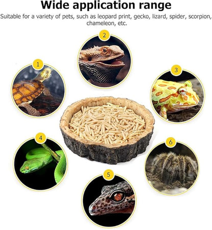 2PCS Reptile Water Dish Food Bowl Set Reptile Feeder Food and Water Dish with Feeding Tweezers Tong for Leopard Gecko Lizard Frog Snake Chameleon Tortoise (Style 2)