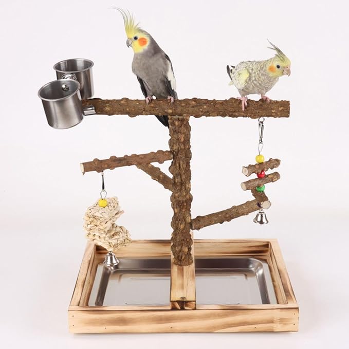Natural Wood Parrot Stand - Ideal Toy & Accessory for Parakeets, Canaries, Cockatiels, Conure, Lovebirds - Large Bird Perch Stand with Removable Tray and Feeder Cups - Perfect Pet Birds Playstand