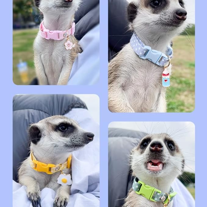 Ferret Collar Harness and Leash Adjustable, Soft and Breathable Ferret Lead Leash with Cute Designed Collar (Yellow)