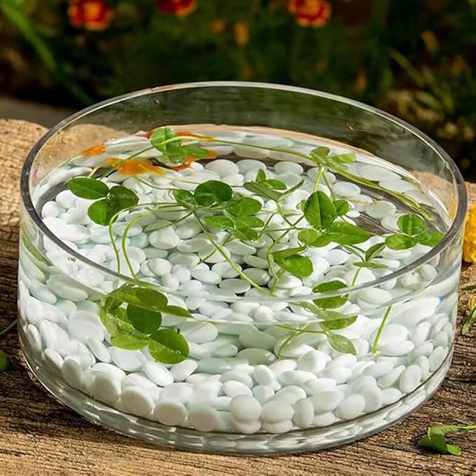 Fish Bowls for Centerpieces, Glass Bowl Decorative Width 7.9", Height 3.1", Lotus Flower, Succulent, Round Glass Vase for Wedding Party Event, Home Office Decor