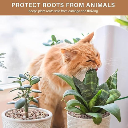 NUPICK 12 lbs Pebbles for Indoor Plants, 3/8 Inch Pea Gravel for Fish Tank, Decorative Rocks for Succulent, Natural River Stones for Vases, Cactus, Landscaping, Bird Bath, Aquarium, Peach